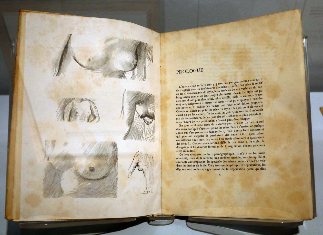 Museo de los impresionismos, Giverny, Francia. Libro de Ramón Gómez de la Serna con dibujos de Pierre Bonnard. Pechos. de . .
