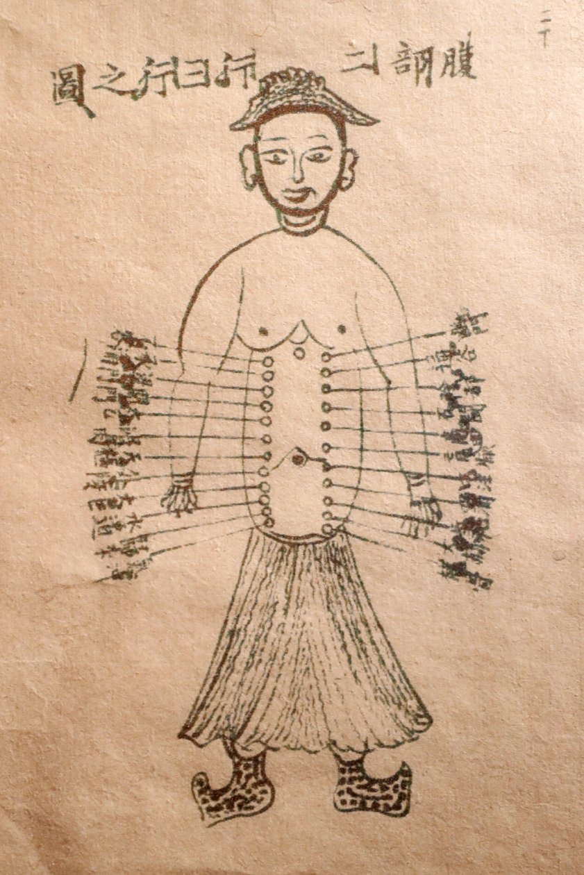 Museo de Medicina Tradicional Vietnamita, Los canales y vasos, Libro de acupuntura, Ciudad Ho Chi Minh, Vietnam de John Pardon