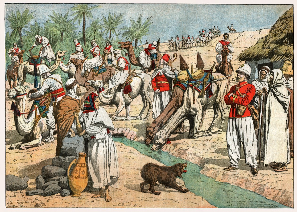 Oasis en el desierto del Sahara de . .