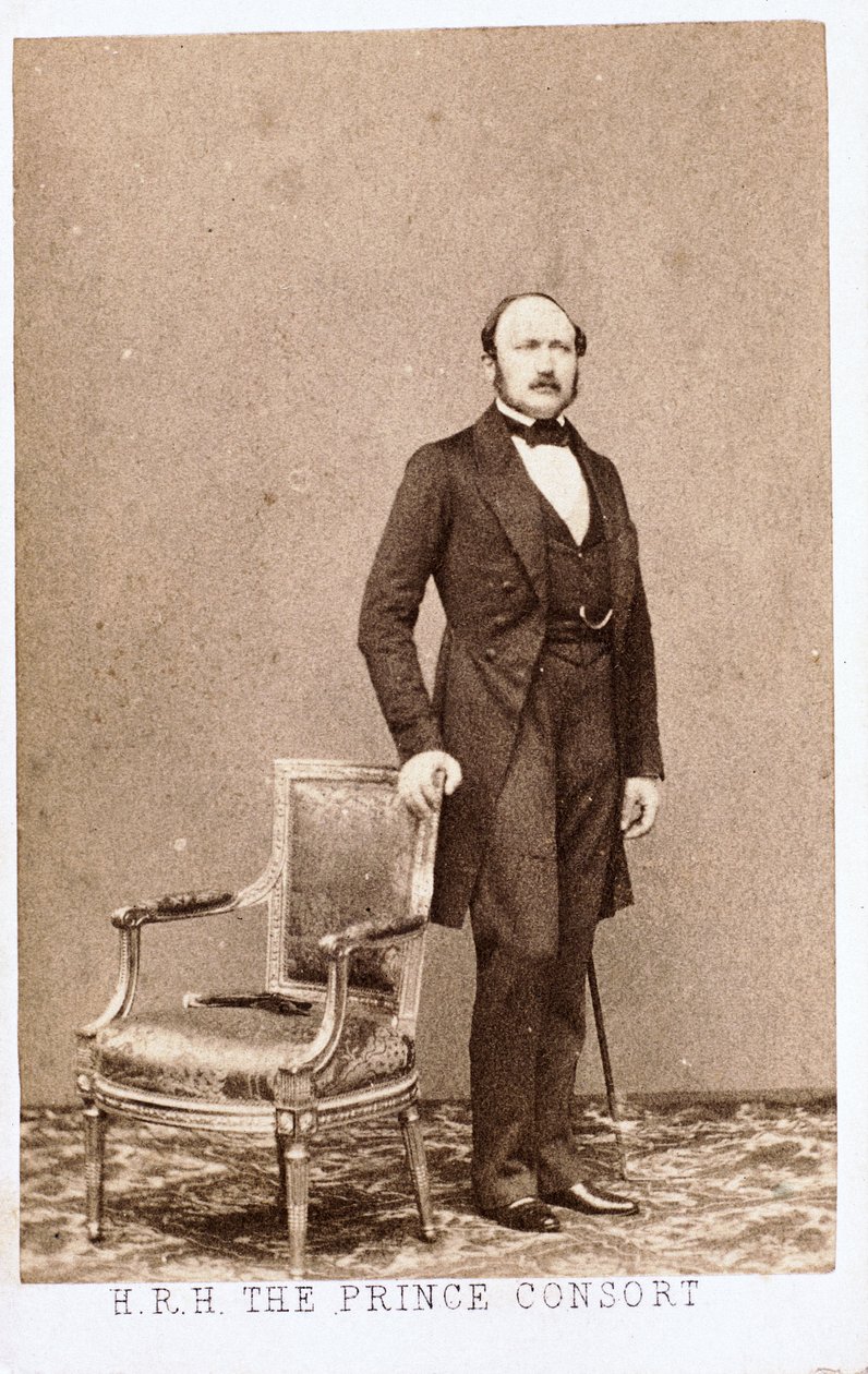 Príncipe Alberto, consorte de la Reina Victoria, c 1860 de Frederick (attr. to) Barnard