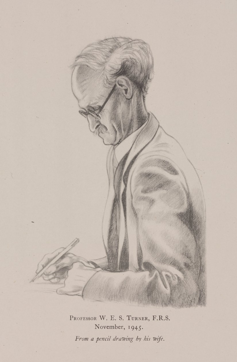 Profesor W E S Turner, noviembre de Frederick (attr. to) Barnard