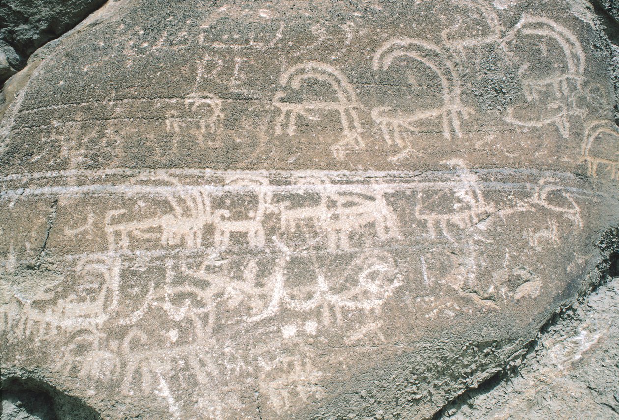 Grabados rupestres en el Valle de Hunza, cerca del área arqueológica de Karimabad, Pakistán de Isabel Redie