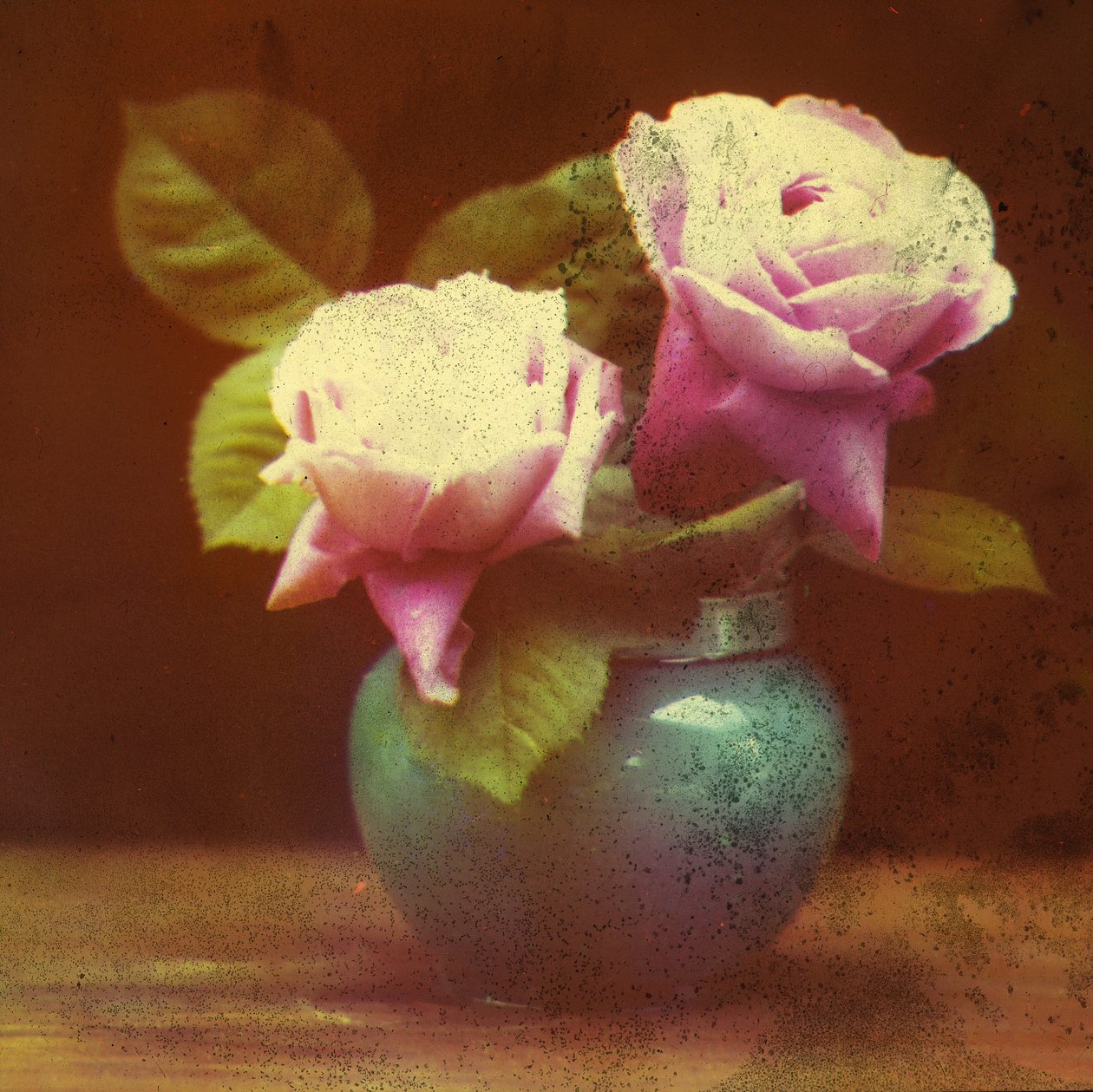Rosas de Frederick (attr. to) Barnard