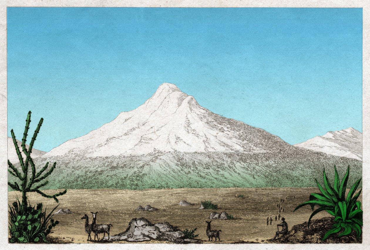 El volcán Chimborazo desde la meseta de Tapia, Ecuador. circa 1840 (grabado) de . .