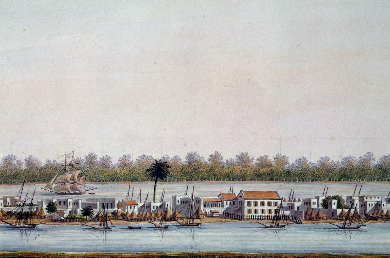 Vista de San Luis, Senegal de William Walcutt