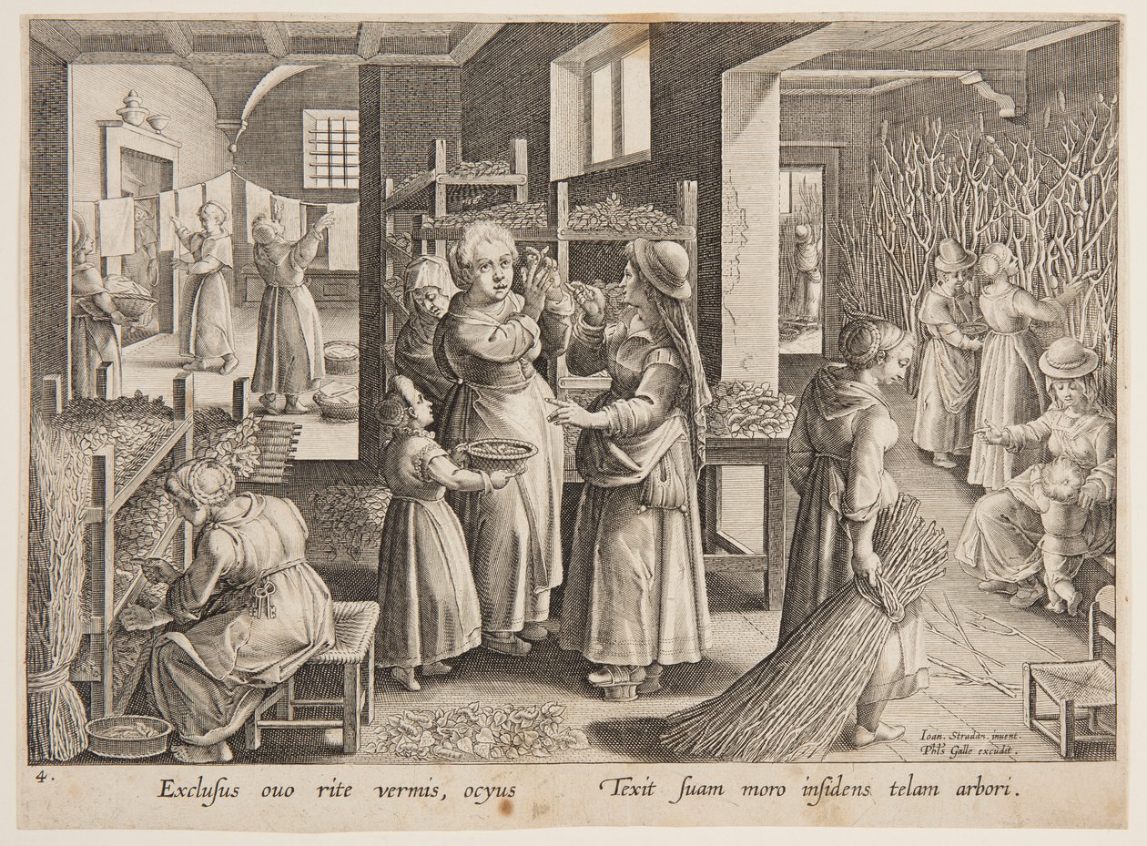 Alimentando gusanos de seda con hojas de morera de after Jan van der Straet, called Stradanus