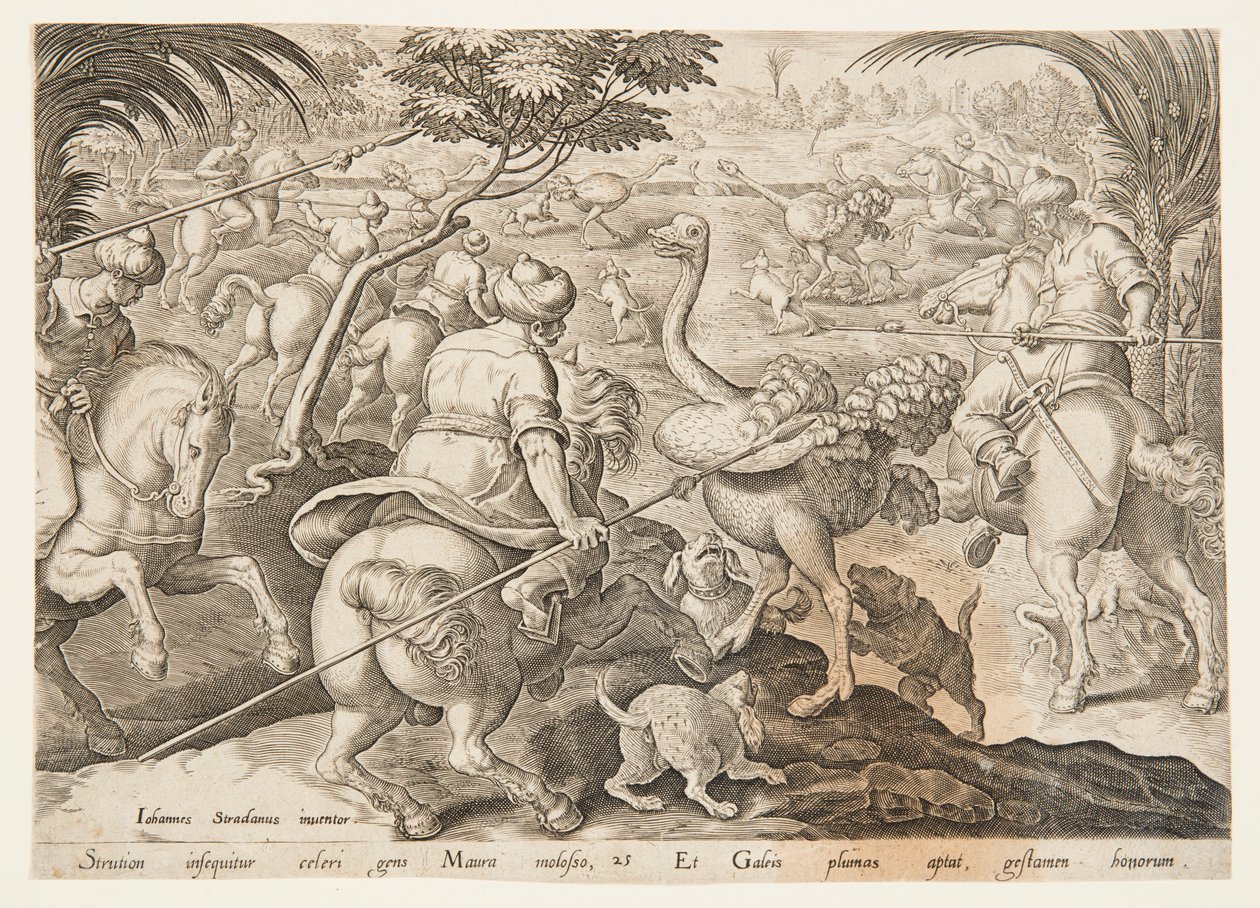 La caza del avestruz de after Jan van der Straet, called Stradanus