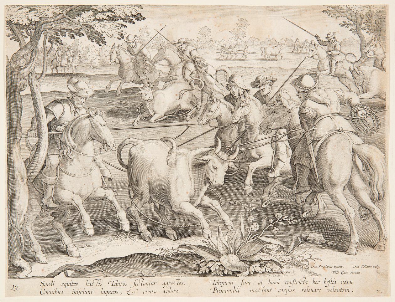Cazando toros salvajes de after Jan van der Straet, called Stradanus