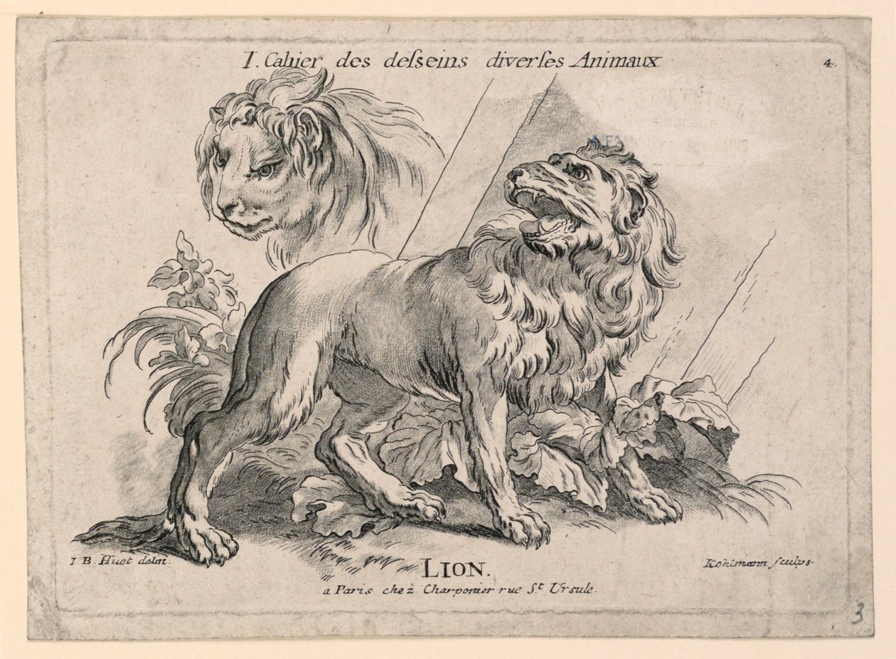 Estudios de leones, lámina 4 de "Cahier des Desseins Diverses Animeaux" de after Jean Baptiste Huet