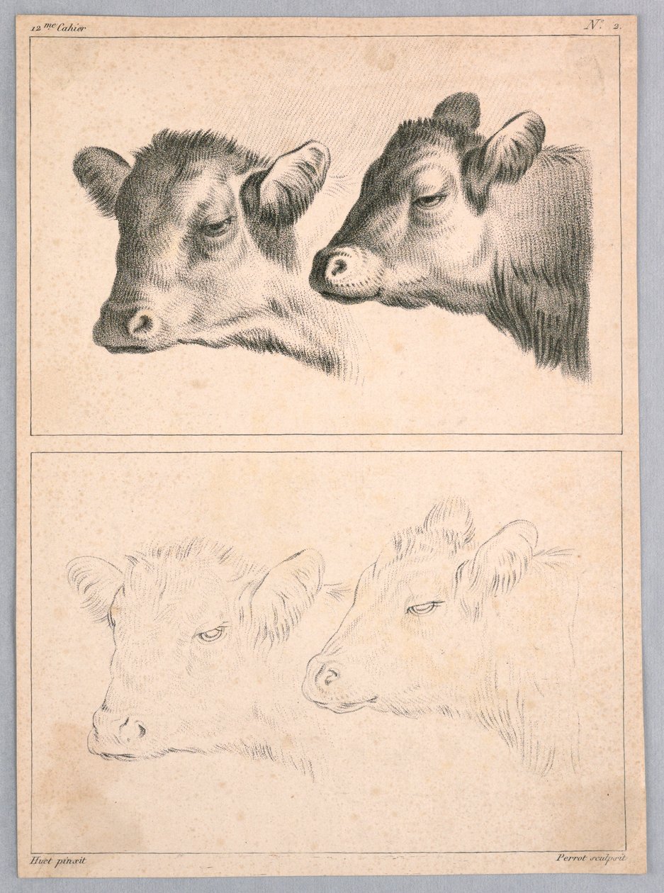 Dos Cabezas de Vaca, Placa no. 2 del 12me Cahier d