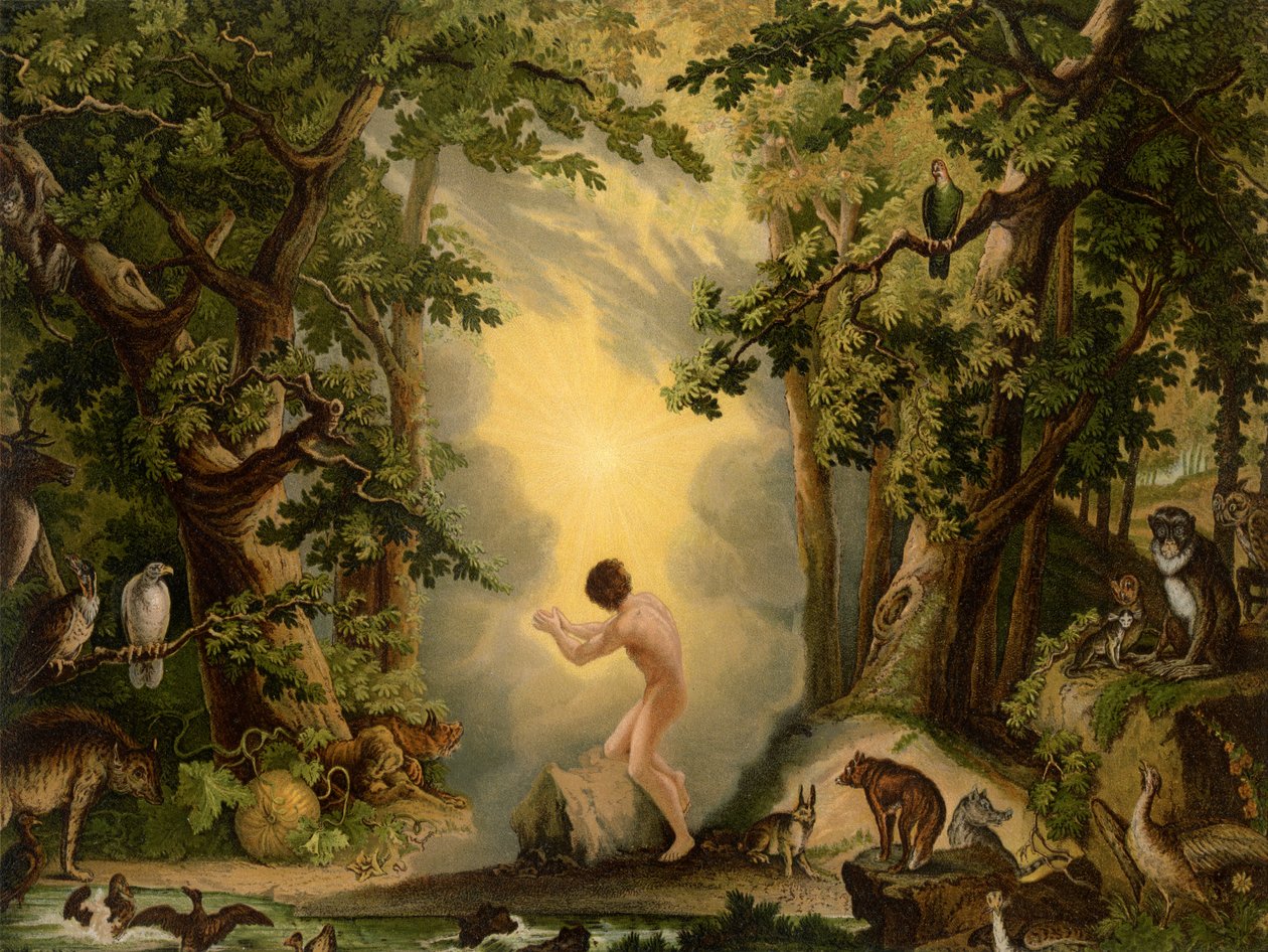 La creación de Adán de Johann Elias Ridinger or Riedinger