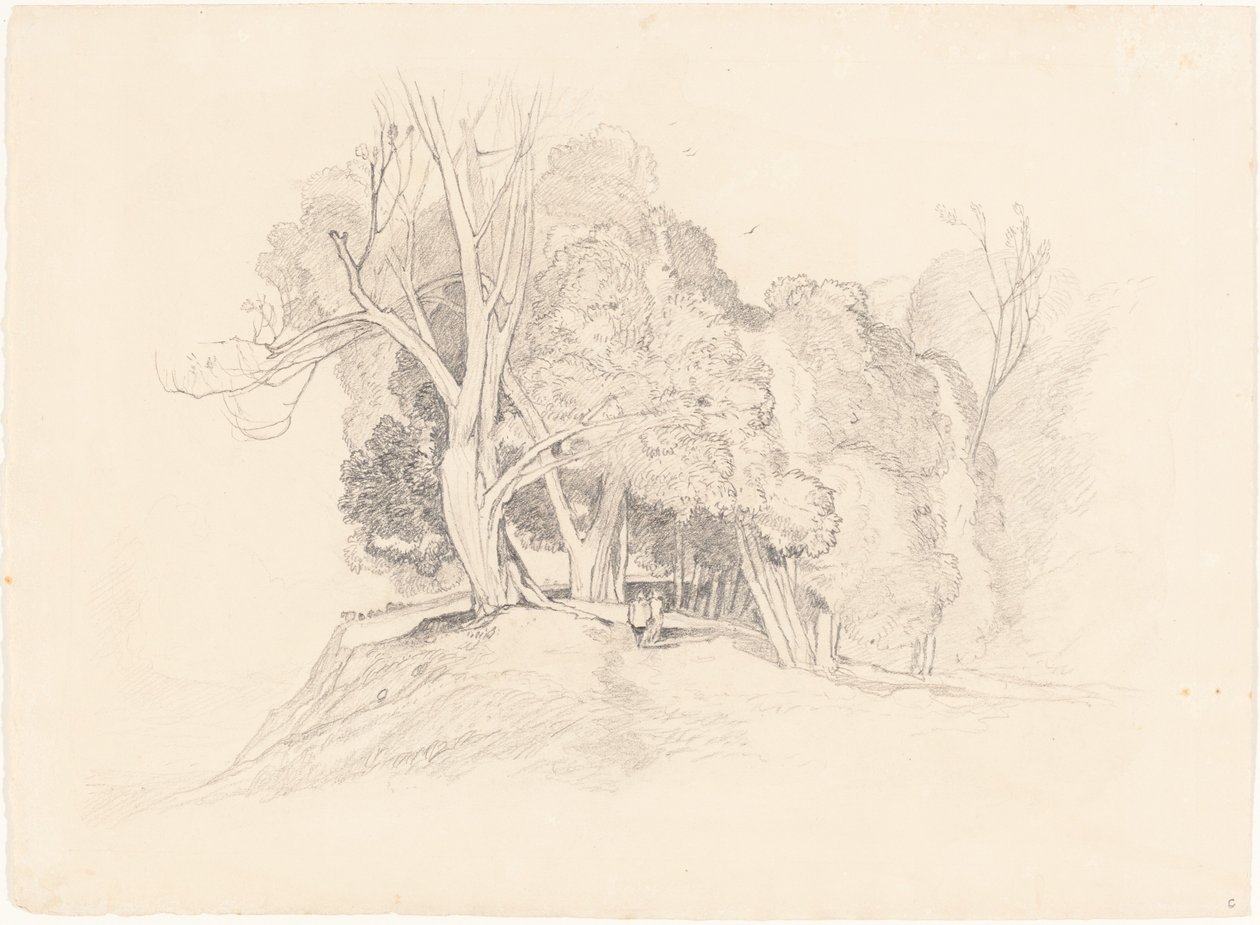 Paisaje con Árboles de after John Sell Cotman British 19th Century