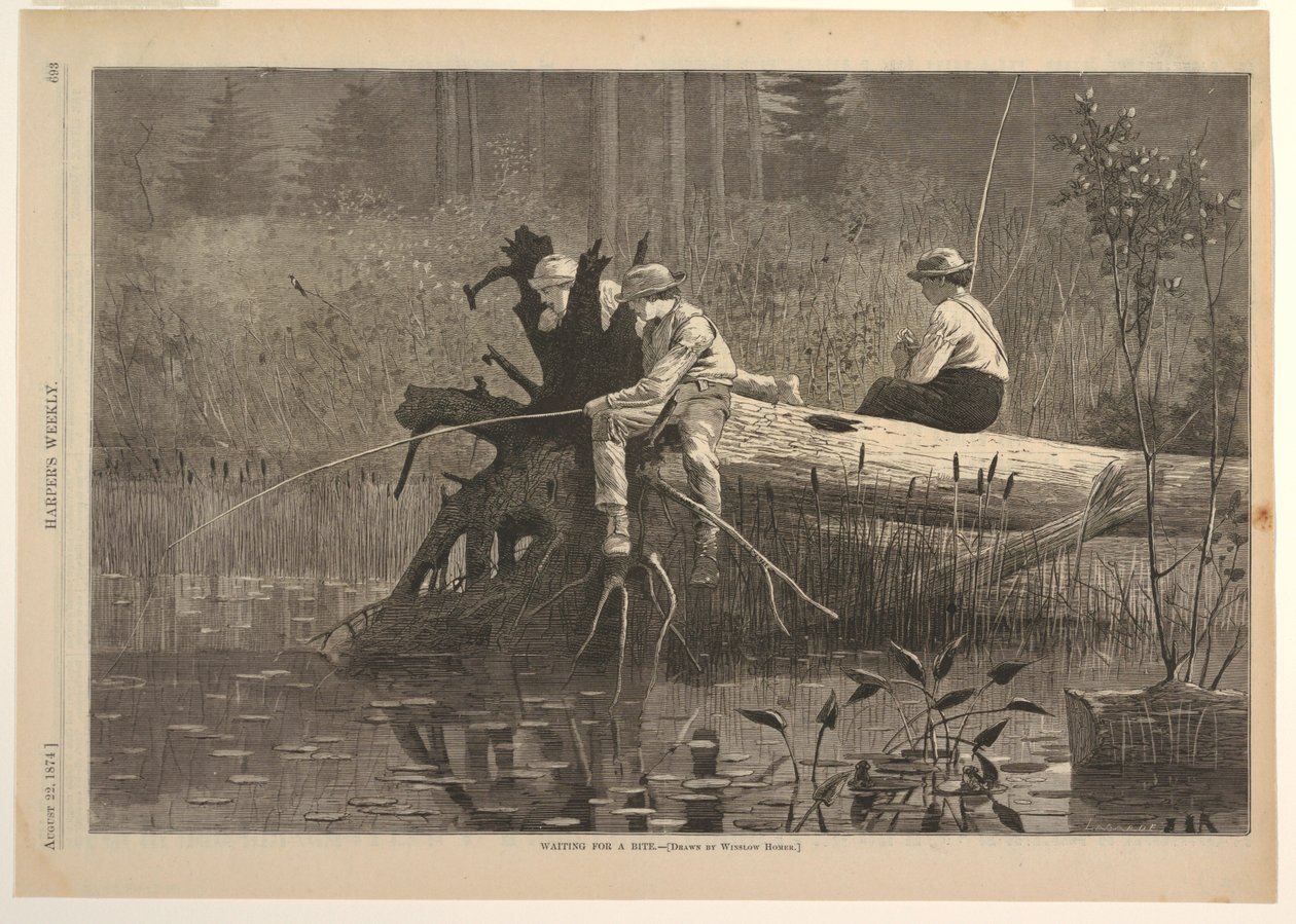 Esperando un bocado, de Harper