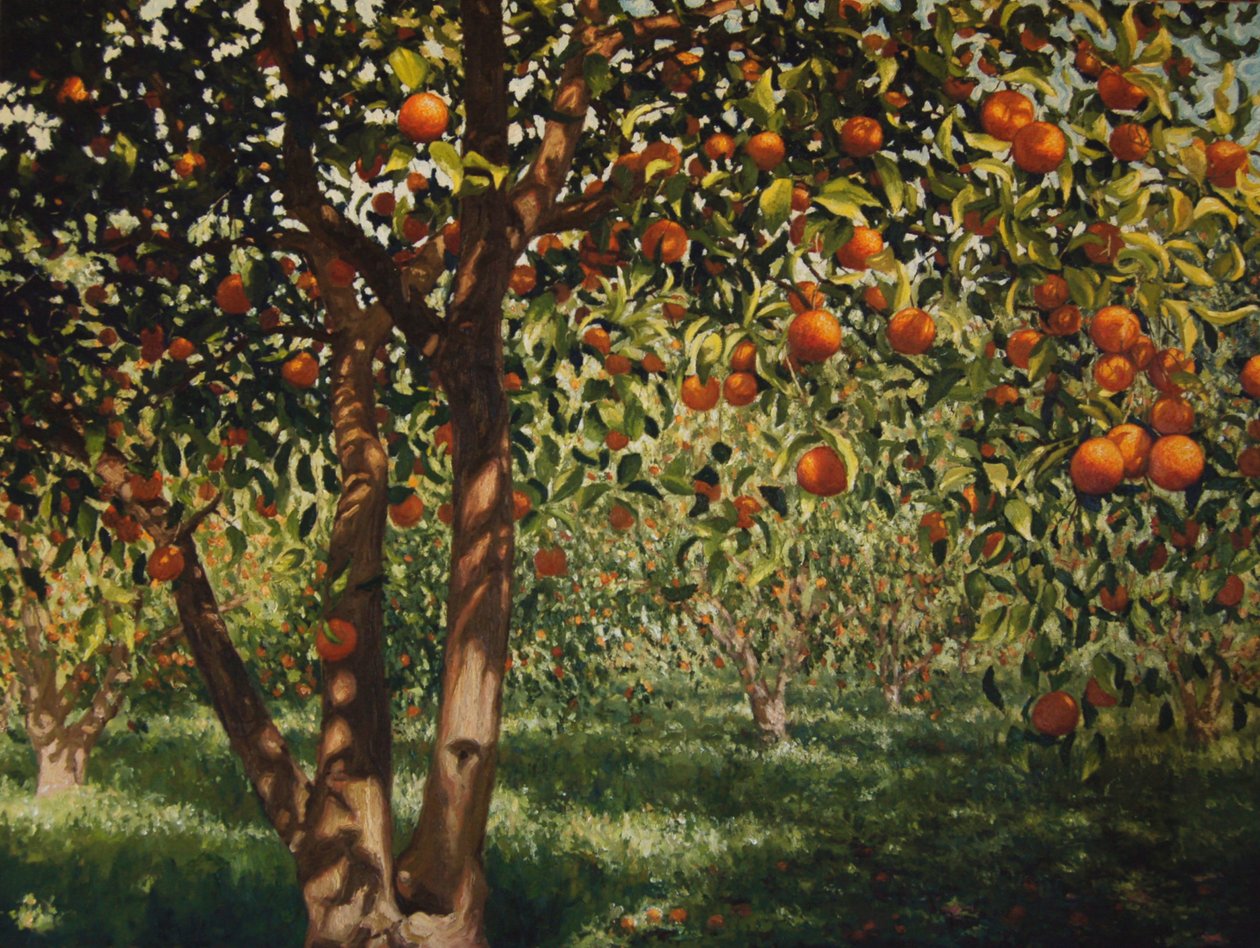 Silencio bajo las naranjas II de angus hampel