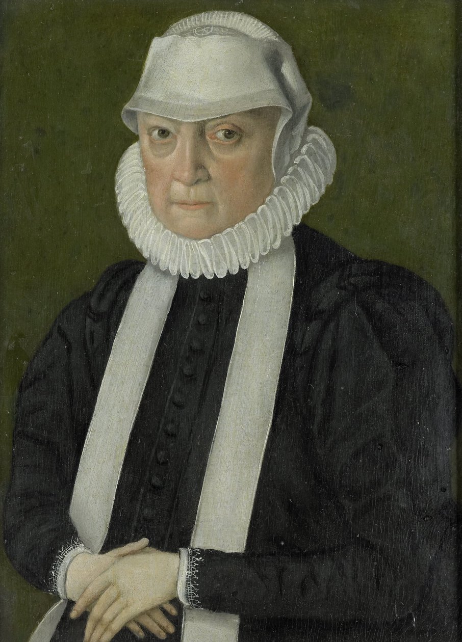 Retrato de mujer, probablemente Anna Jagellonia, reina de Polonia de anonymous (possibly)