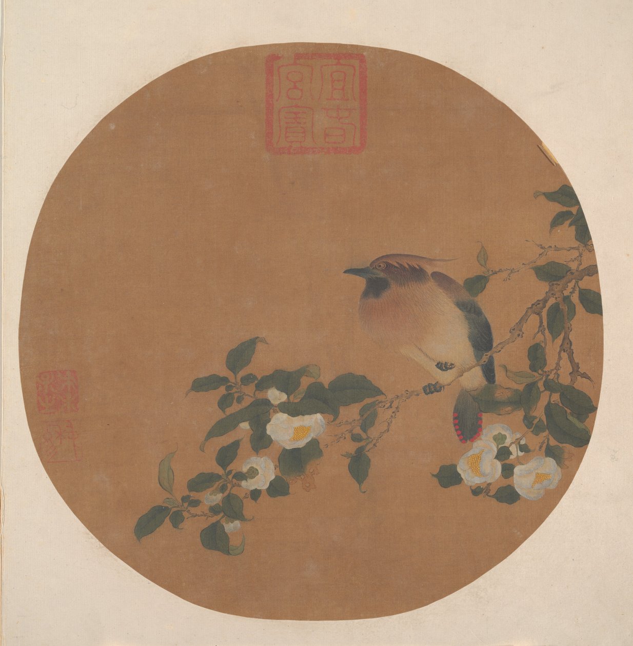 Rama de árbol con flores y pájaro de la familia Waxwing de anonymous 