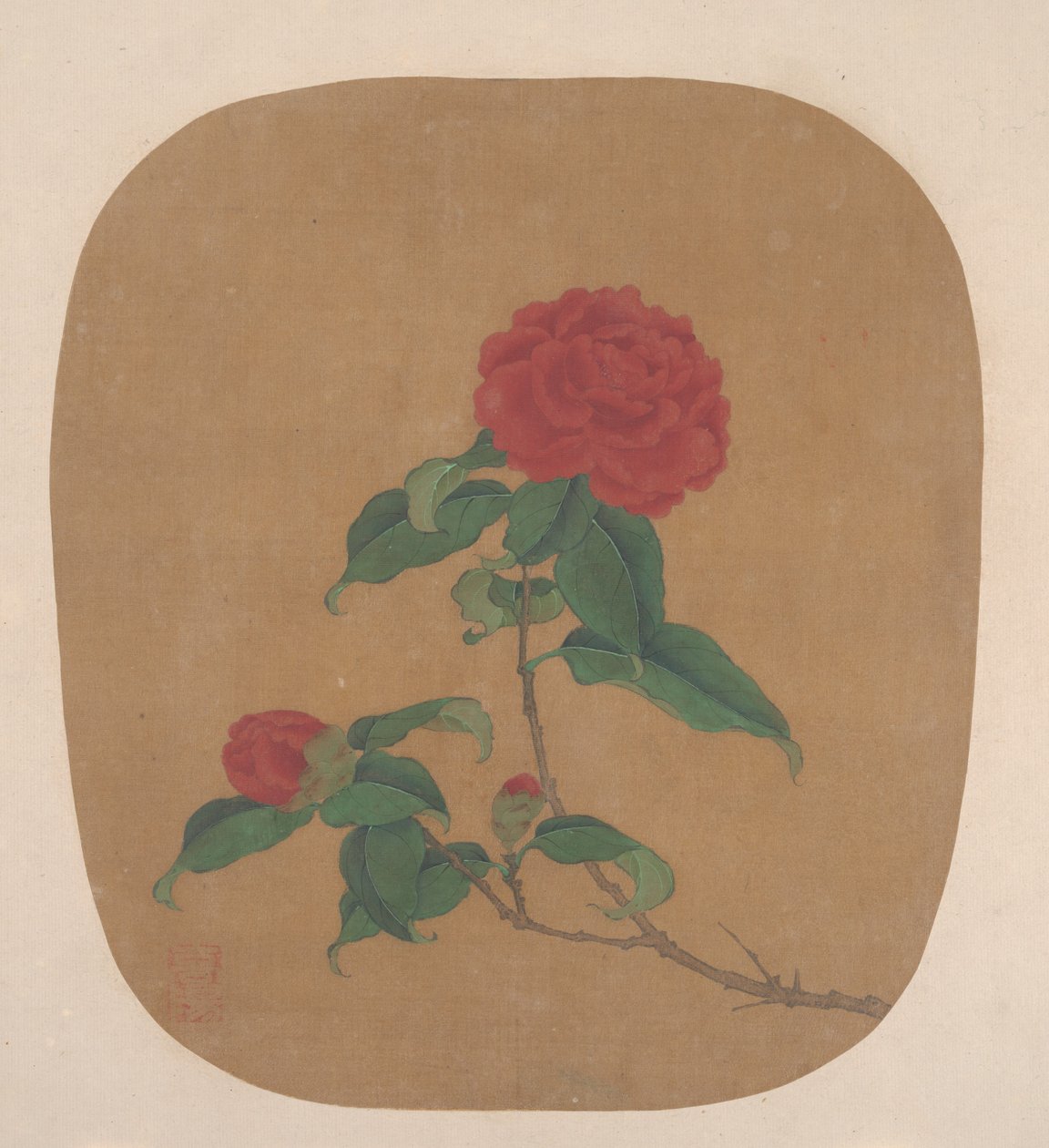 Flores de camelia de anonymous 