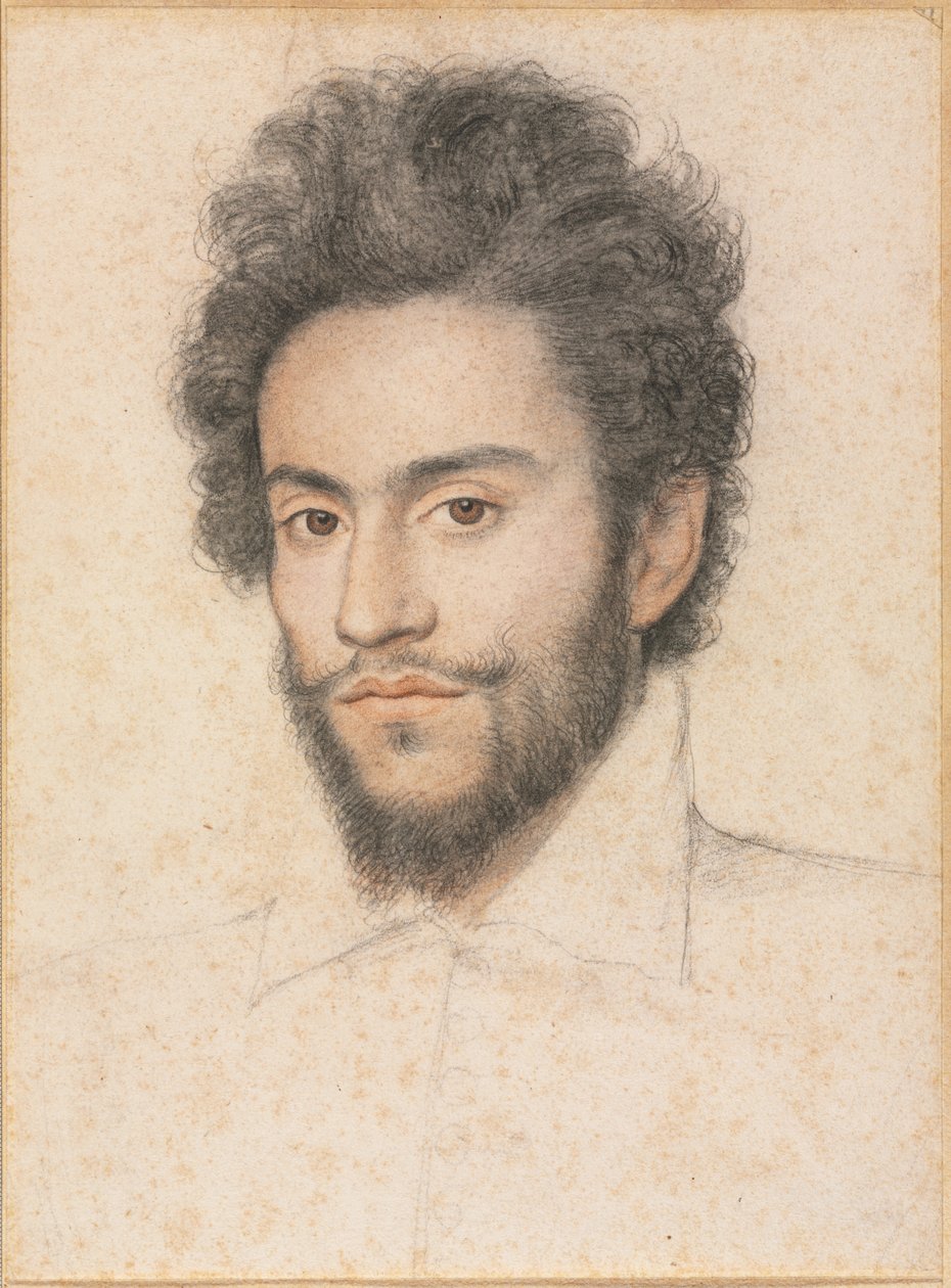 Young Man with a Beard de attributed to François Quesnel