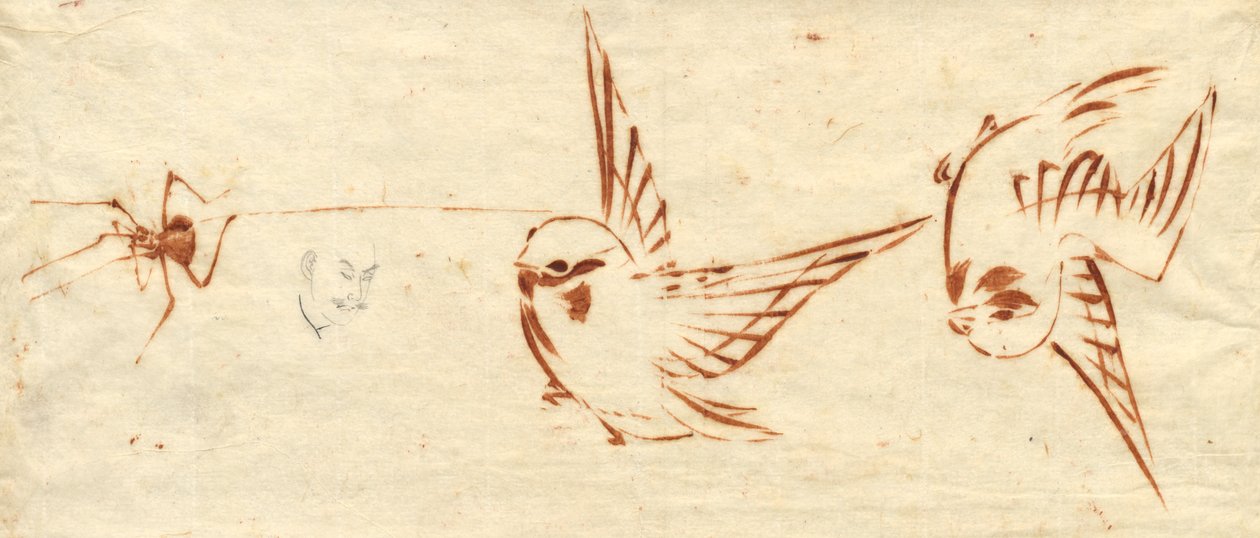 Sketch Page with Birds and Spider de attributed to Katsushika Hokusai