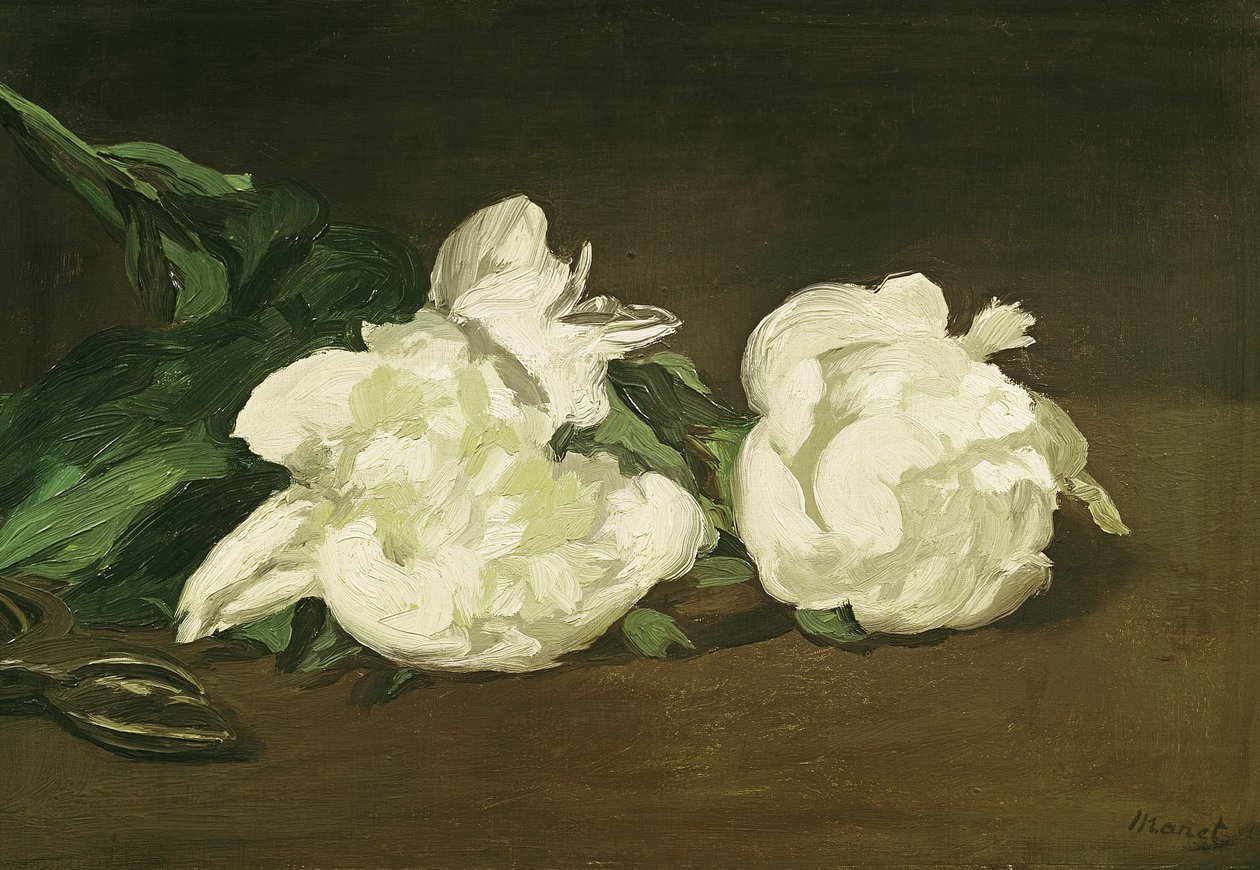 Rama de peonías blancas y tijeras de podar, 1864 de Édouard Manet