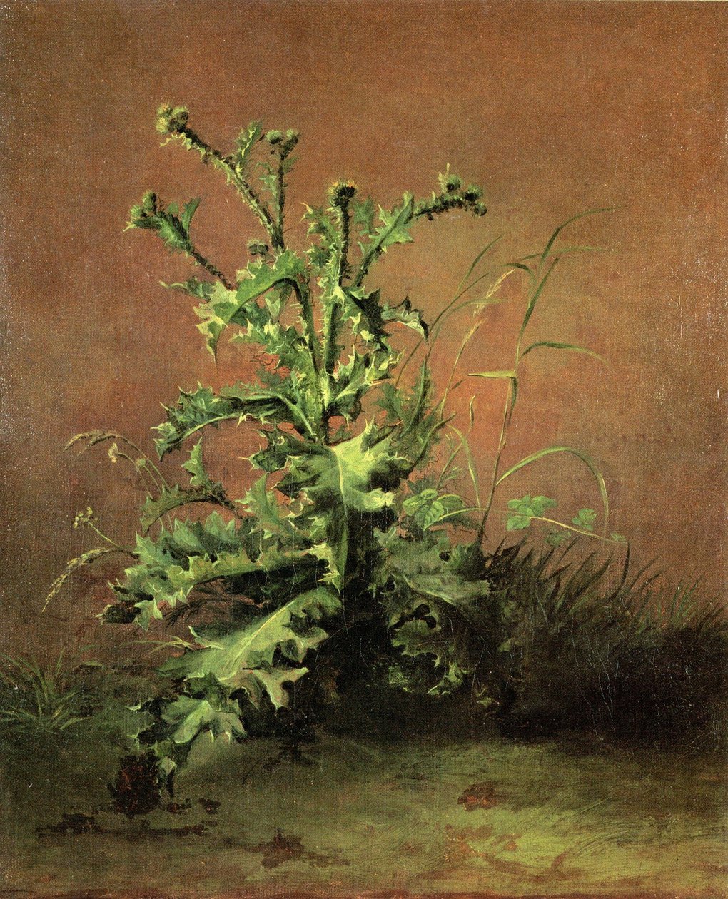 Cardos de Édouard Manet