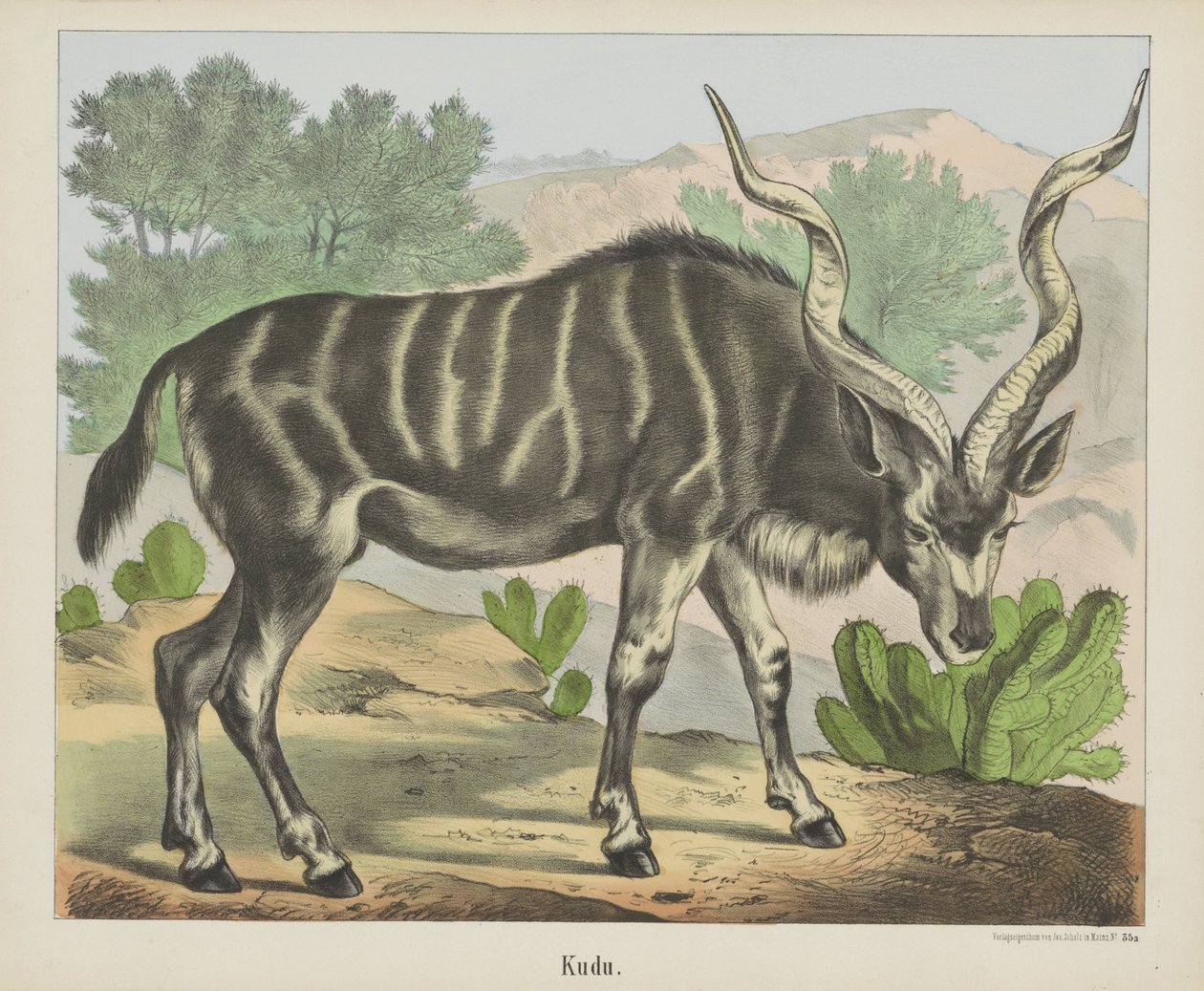 Kudu (título sobre objeto) de firma Joseph Scholz