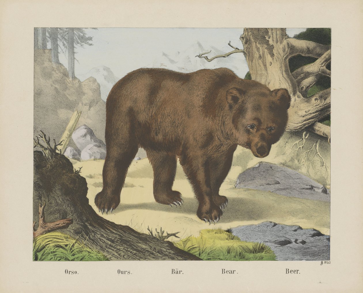 Orso. / Ours. / Bär. / Bear. / Beer (título en el objeto) de firma Joseph Scholz