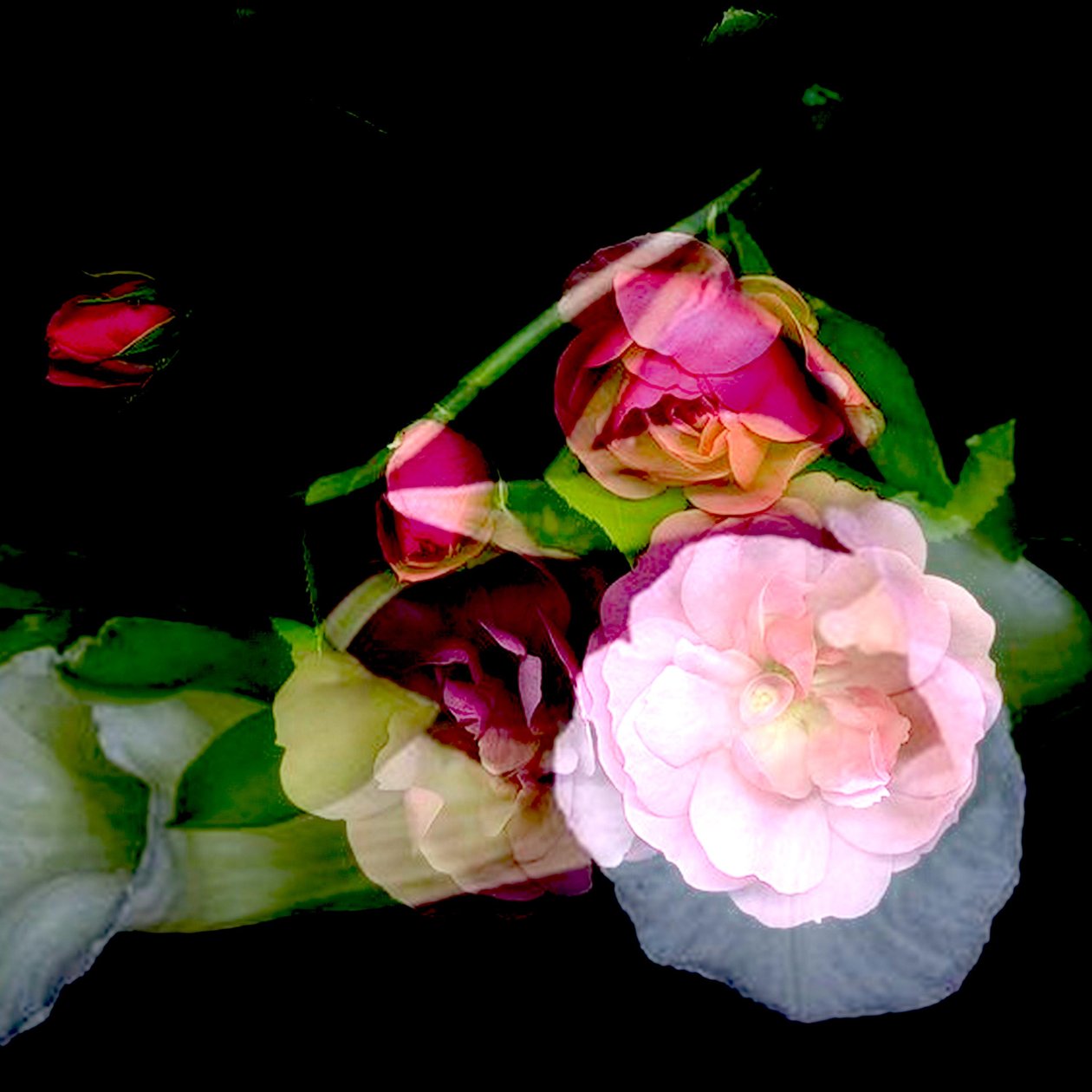 LA FLOR DE MI MADRE, 2017 (técnica mixta) de linda arthurs