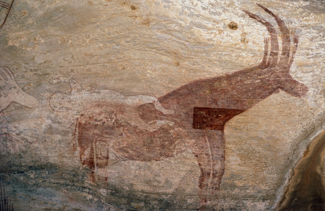 Animal con pezuñas, pintura rupestre, Sephar, Tassili n
