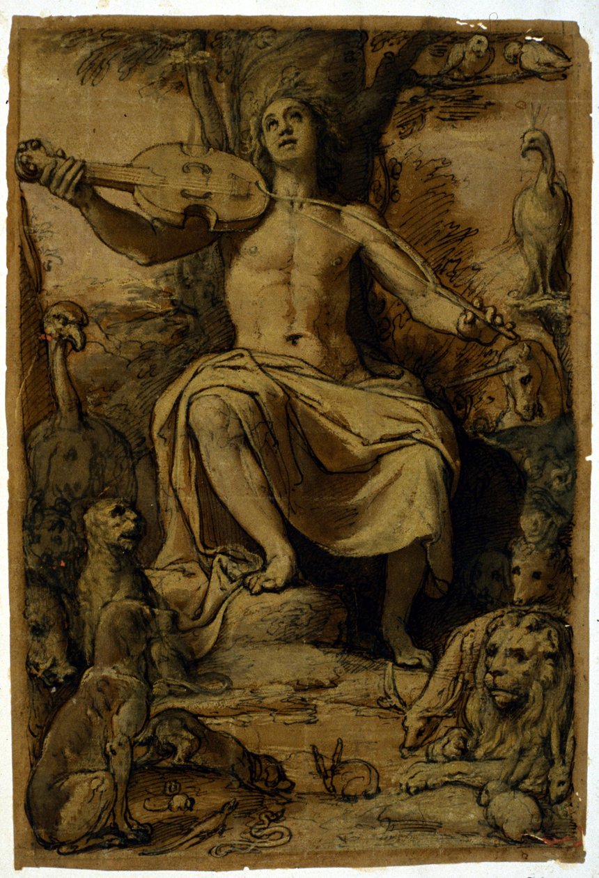 Orfeo encantando a los animales con la música de un violín. Dibujo de Federico Zuccari de or Zuccaro Federico Zuccari