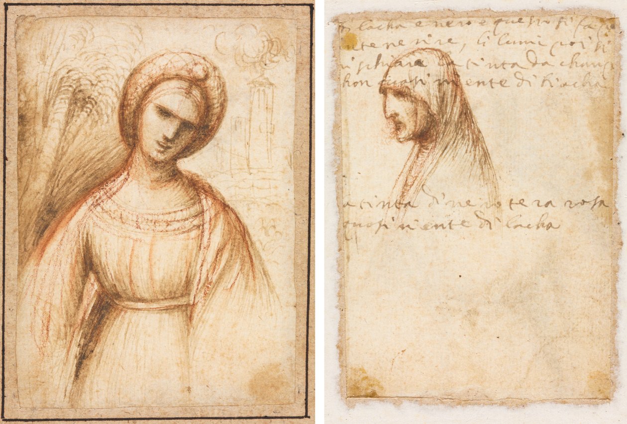 Lady in a Landscape (recto); Bust-Length Profile of an Old Woman (verso) de possibly by Dosso Dossi