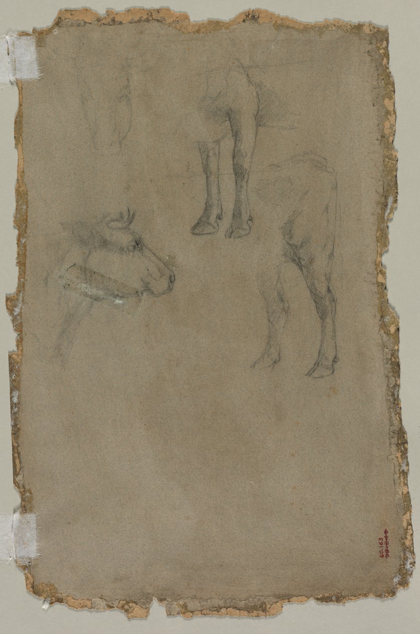 Estudios de un toro (verso) de possibly by Johan Barthold Jongkind