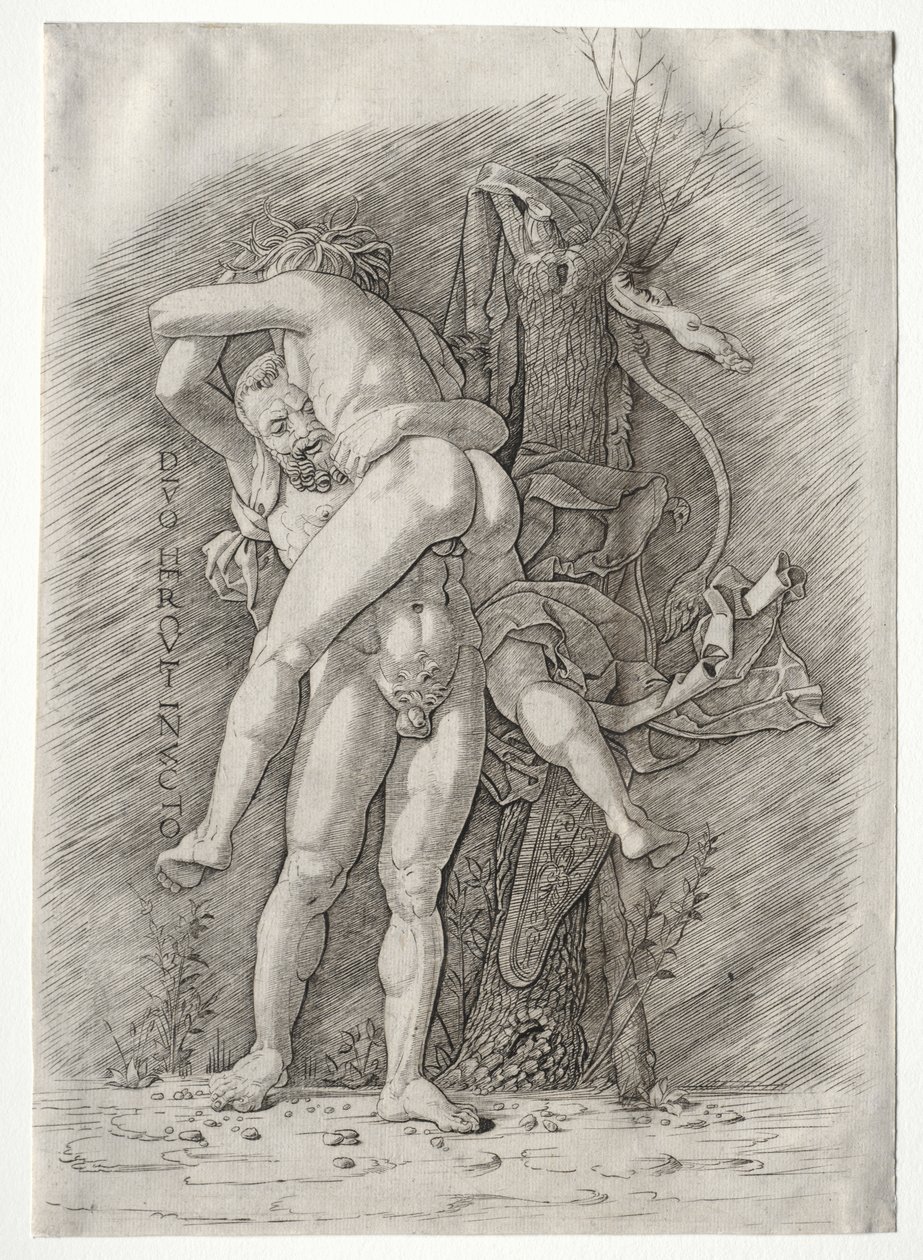 Hércules y Anteo de school of Andrea Mantegna