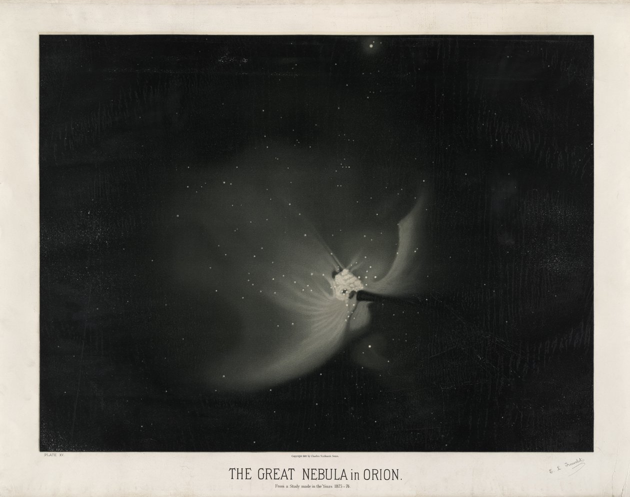 La gran nebulosa en Orión. De un estudio realizado en los años 1875-76. (Placa XV de Los Dibujos Astronómicos de Trouvelot 1881-1882) de Étienne Léopold Trouvelot