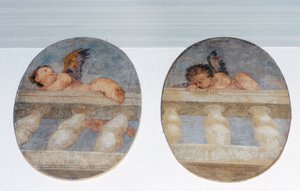 Dos putti alados trepando sobre una balaustrada, medallones de la sacristía (fresco) de Veronese