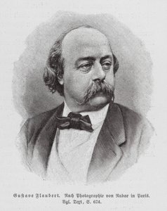 Gustave Flaubert, novelista francés (grabado) de (1820-1910) (after) Nadar