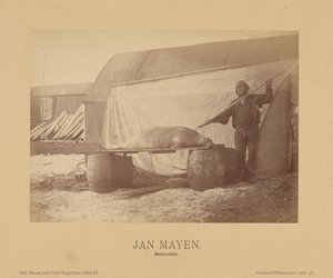 Jan Mayen, Bartrobbe
