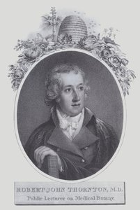 Robert John Thornton (litografía) de (after) English School