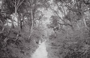Fairlight Glen (foto b/n)