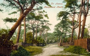 Fir Avenue, Hampstead Heath (foto en color)