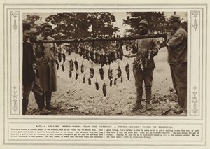 Las ratas, ¡más preocupantes que los alemanes! La captura de un soldado francés en exhibición (foto b/n) de (after) English photographer