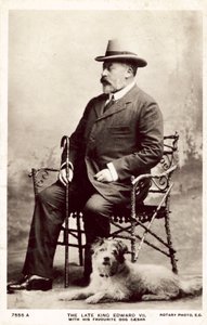 El difunto rey Eduardo VII, con su perro favorito, César (foto b/n)