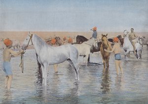Baño de Mar