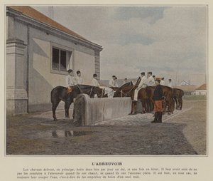 El abrevadero