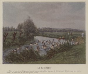 El baño