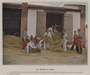 La bota de coco de (after) French Photographer