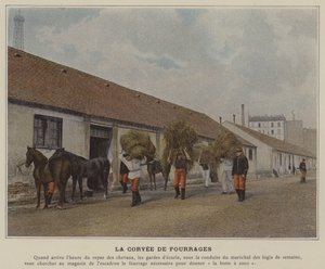 La corvea de forraje
