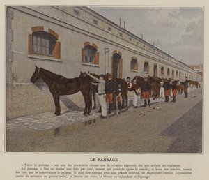 El aseo