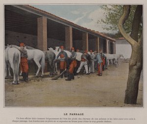 El Aseo