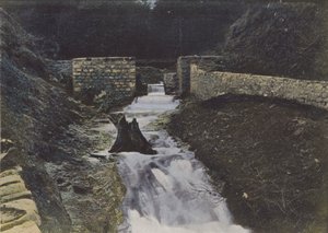 Fuentes del Alagnon en Liorant (foto coloreada)